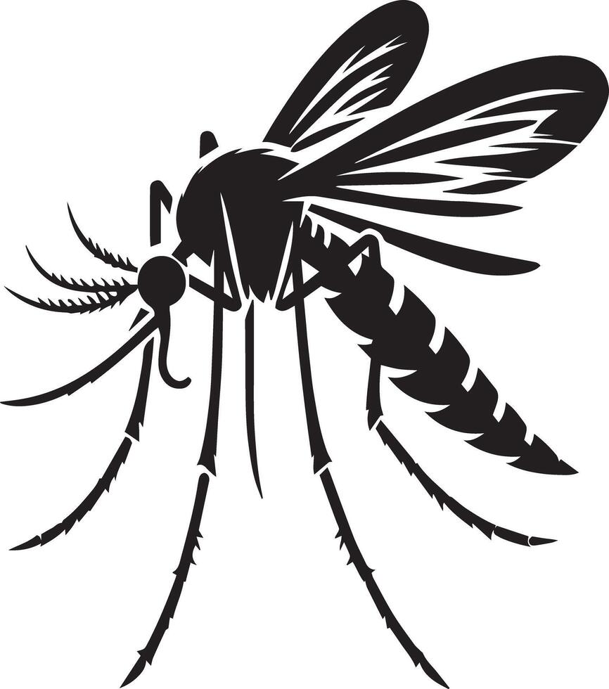 A mosquito with black and white lines vector
