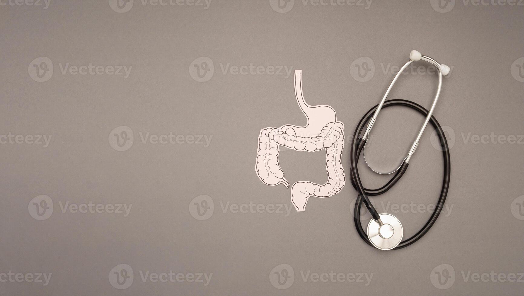 A stethoscope and large intestine shape made from paper over a gray background photo