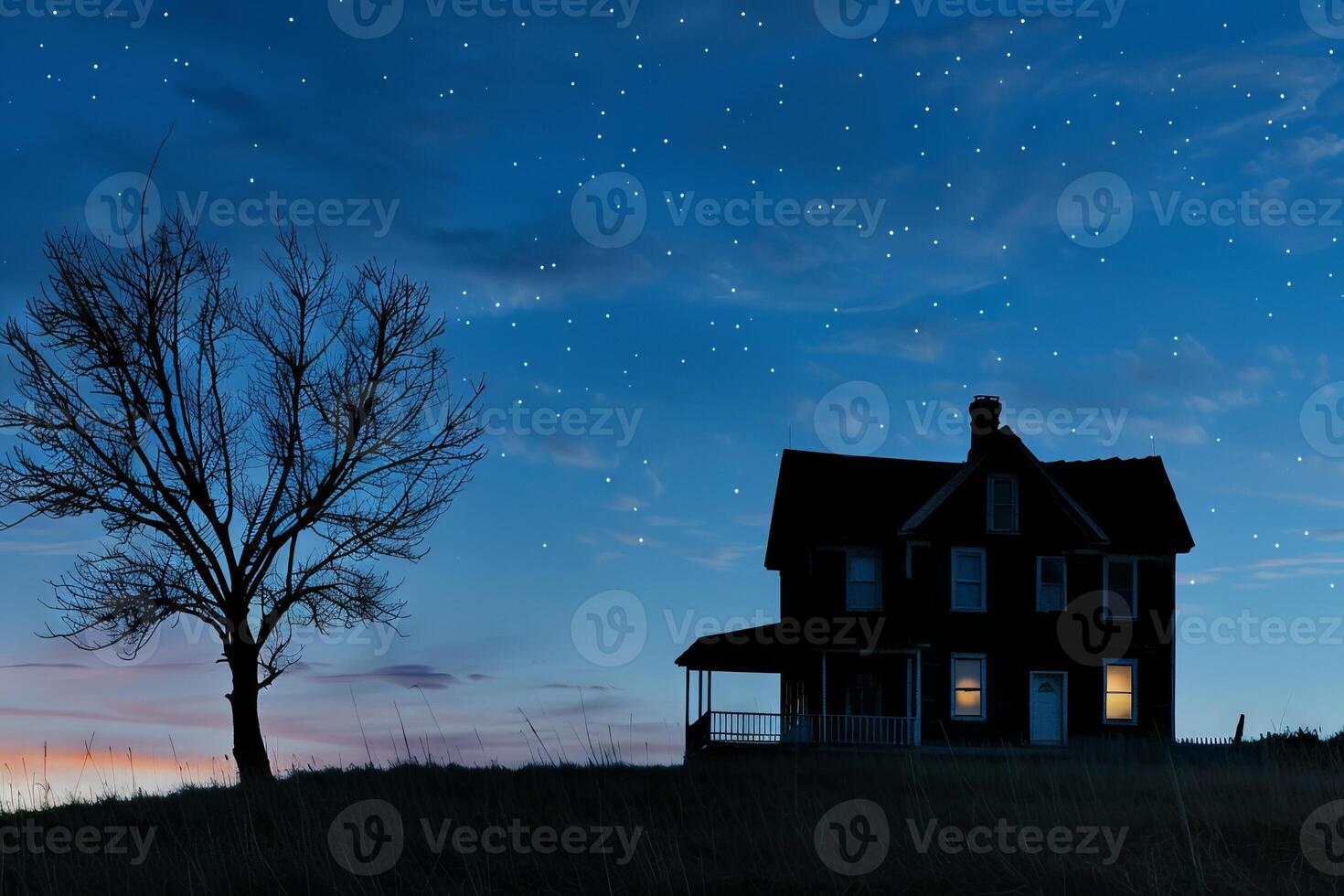 A house with a porch and a tree in front of it photo
