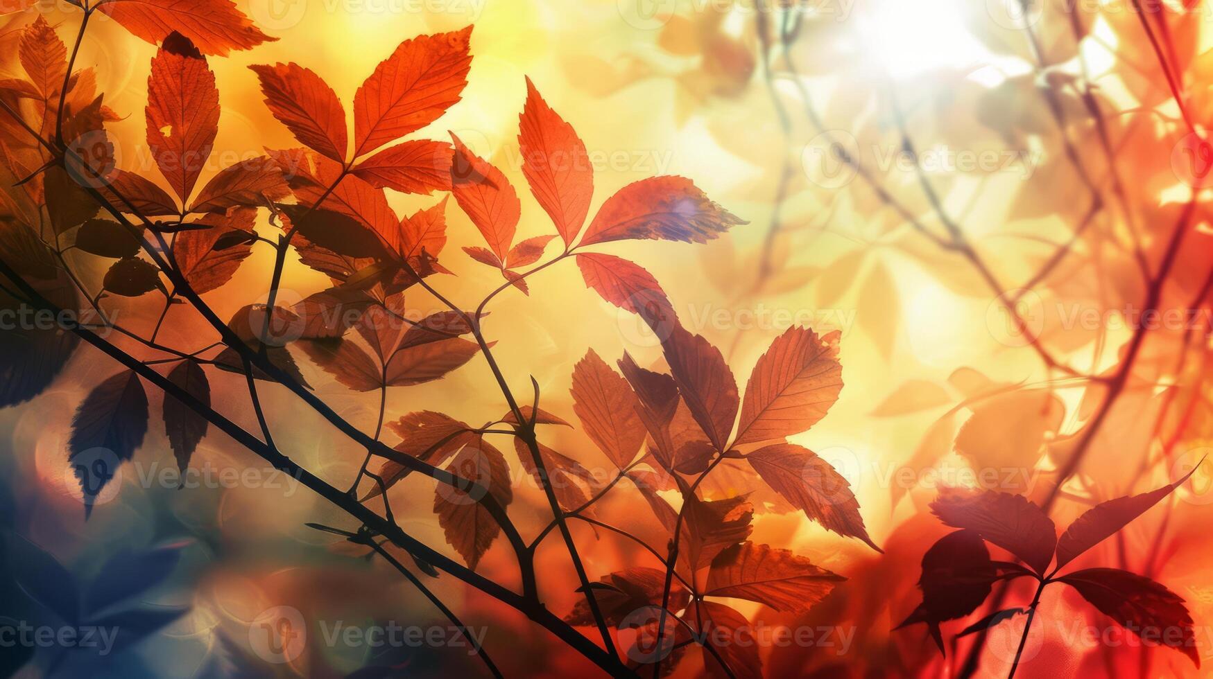 A tree with leaves that are orange and yellow photo