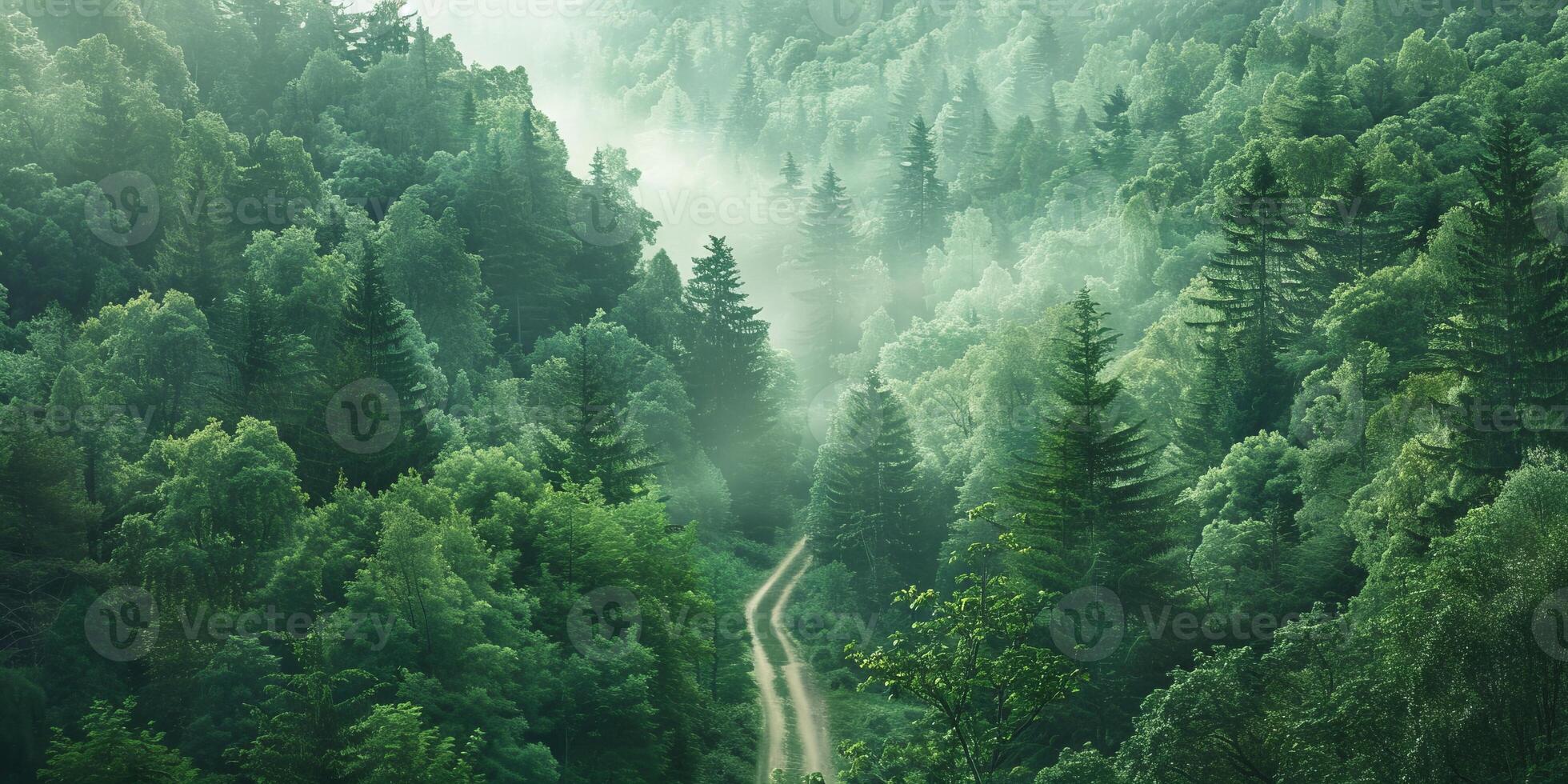 Overlay of a patient's journey and a lush forest, symbolizing vitality. photo
