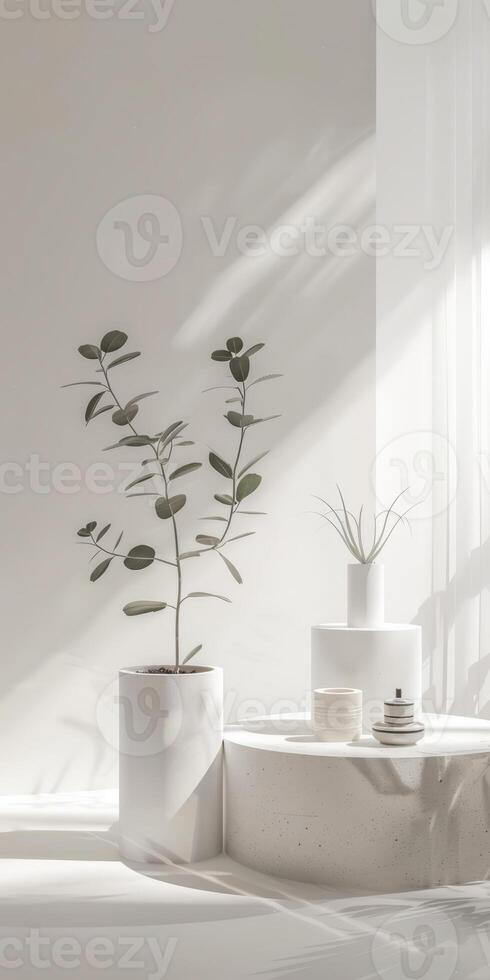 Trendy display stage arrangement featuring products photo