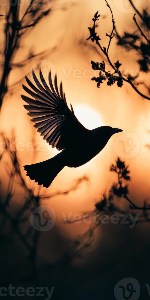 Silhouette of a Bird in Flight Against a Vibrant Sunset Sky with Tree Branches photo