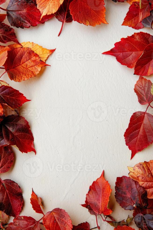 Autumn Leaves Frame on White Background with Vibrant Red and Orange Foliage photo