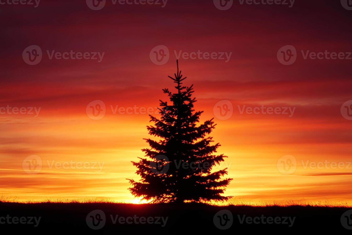 Stunning Silhouette of Lone Pine Tree Against Vibrant Orange and Red Sunset Sky photo