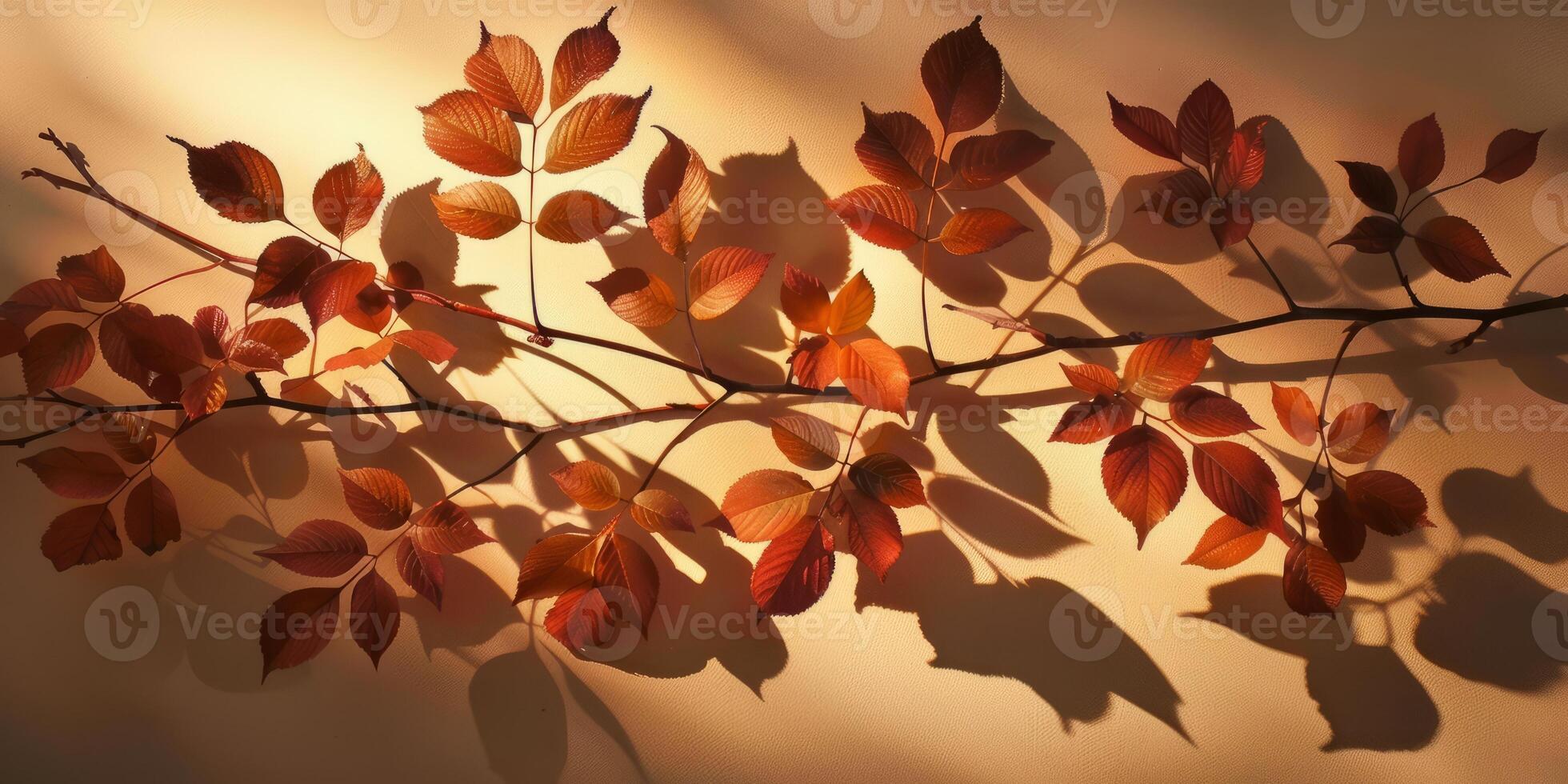 A branch with leaves is shown in a shadow on a wall photo