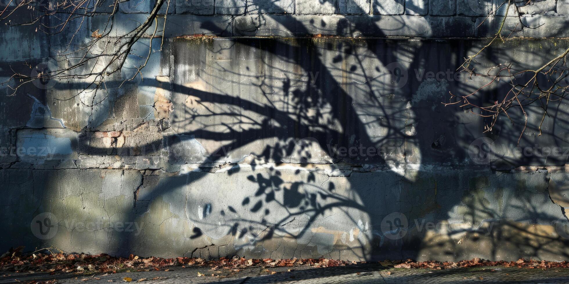 Shadow of Tree Branches Cast on Weathered Concrete Wall in Autumn Light photo