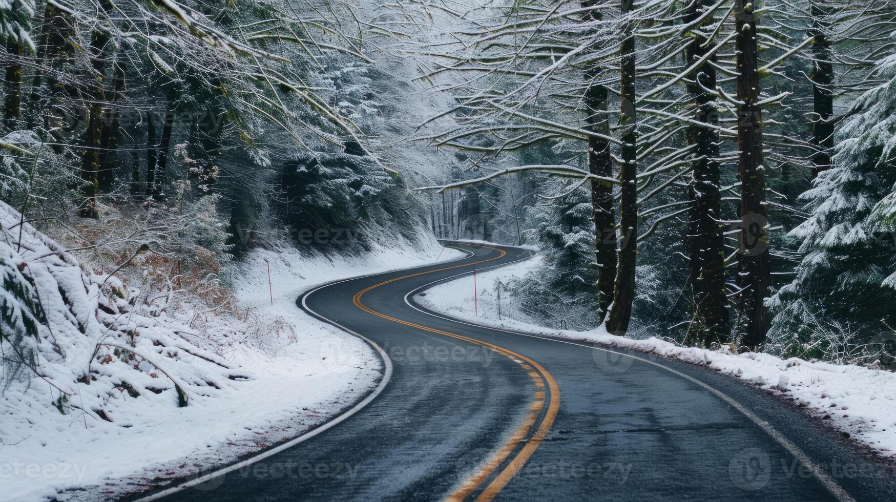 Copy space with a winding road through snowy forests photo