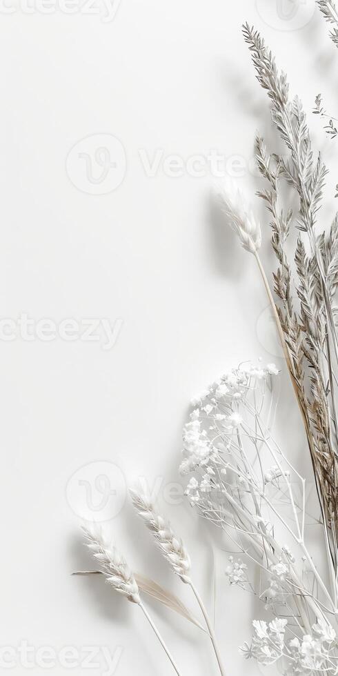 A white background with a bunch of flowers on it photo