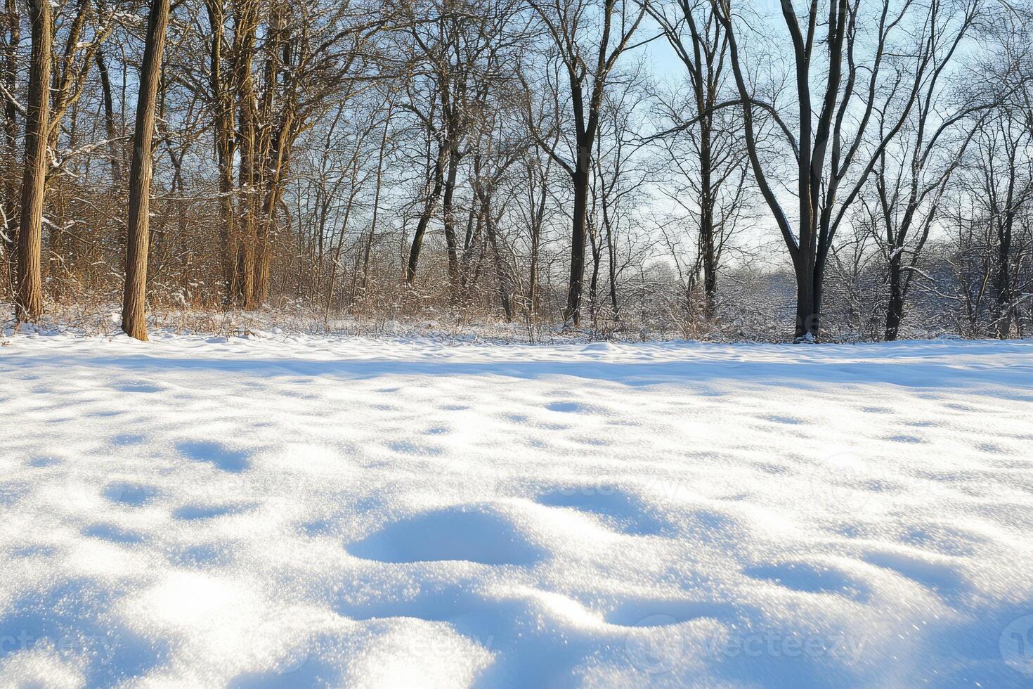 Serene Winter Landscape with Snow-Covered Field and Bare Trees photo