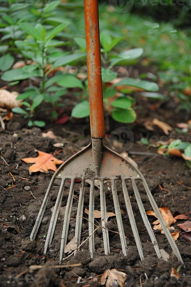 Close-Up of Garden Rake in Soil with Green Plants and Fallen Leaves photo