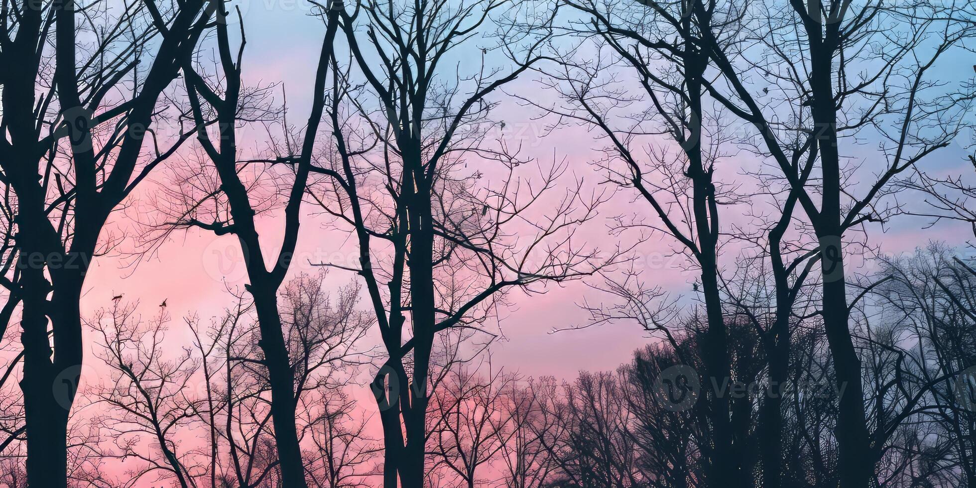 Silhouetted forest canopy against the pastel colors of dusk. photo