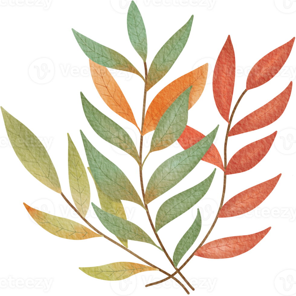 A watercolor illustration of colorful leaves in shades of green, orange organic pattern. png