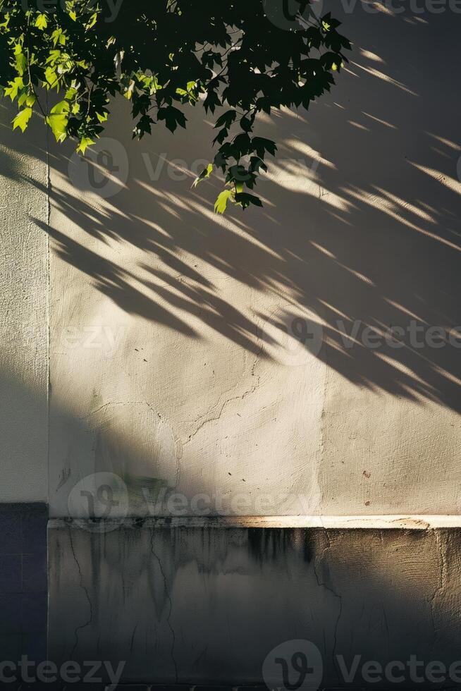 Sunlit Wall with Tree Shadows Creating a Play of Light and Texture on Urban Surface photo