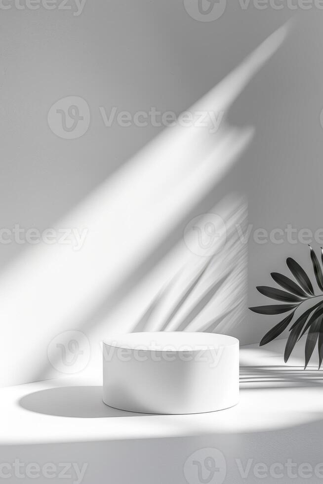 Subtle gradient on the white background adds depth and dimension to the composition photo