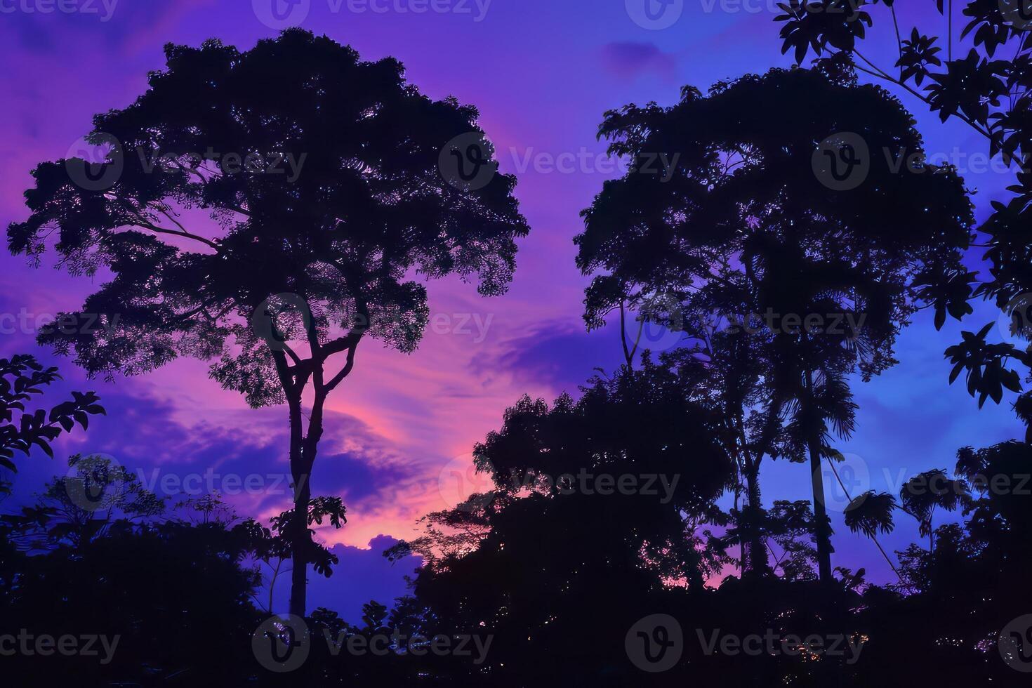 Rainforest canopy creating captivating silhouettes against the twilight sky. photo