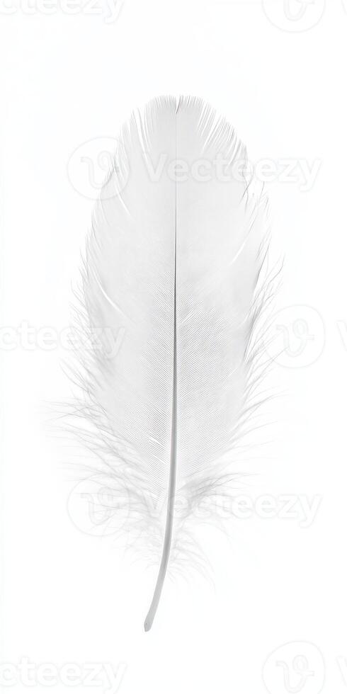 Close-Up of a Delicate White Feather Isolated on a Clean White Background photo