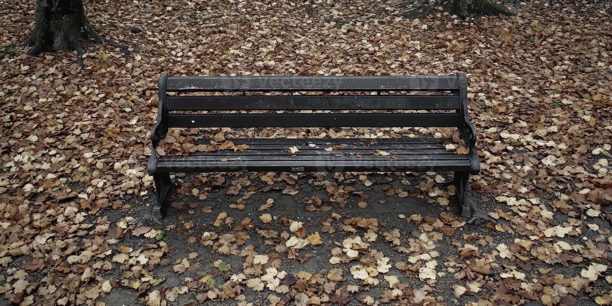 Rustic Wooden Park Bench Surrounded by Autumn Leaves in a Serene Forest Setting photo