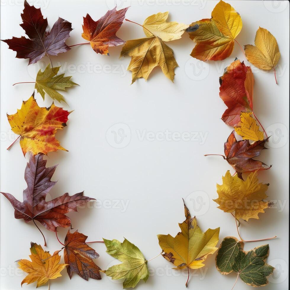 Autumn Leaves Frame on White Background Featuring Vibrant Fall Foliage in Various Colors and Shapes photo