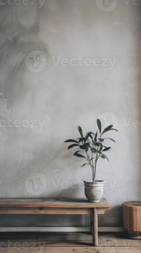Minimalist Interior with Potted Plant on Wooden Bench Against Textured Gray Wall photo