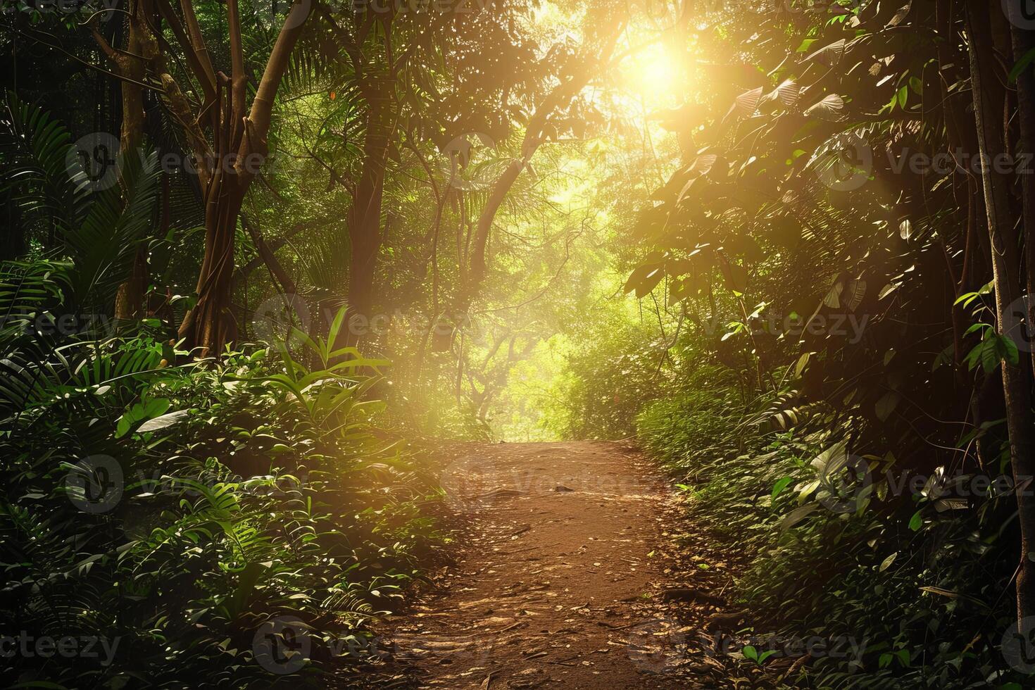 Overlay of a patient's journey and a lush forest, symbolizing vitality. photo