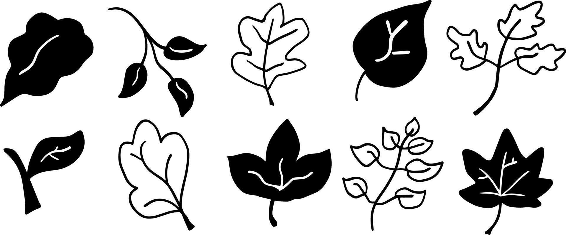 Minimalist Leaf Doodles for Botanical Art vector
