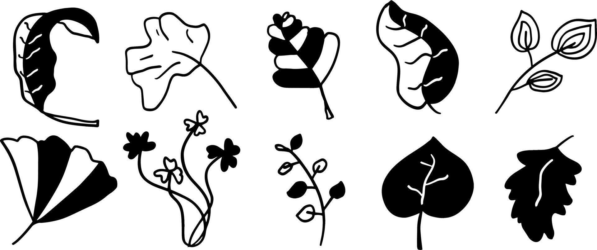 Hand-Drawn Leaf Illustrations for Nature-Themed Designs vector