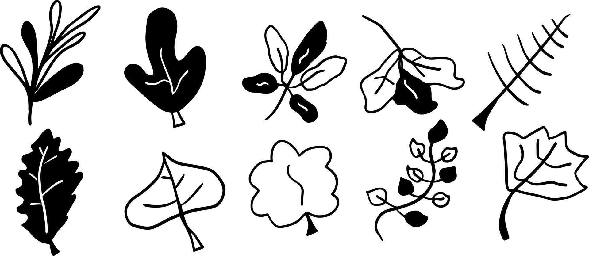 Simple Leaf Doodle Set for Creative Botanical Projects vector
