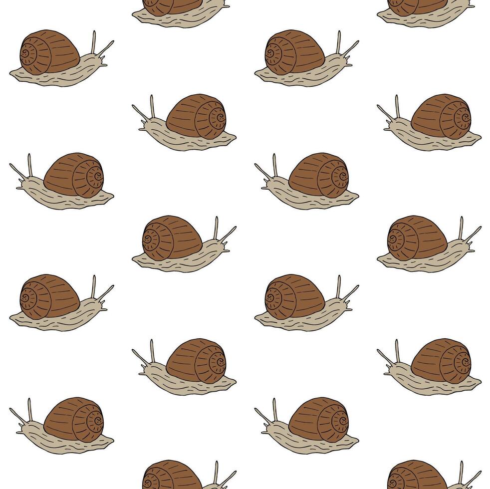Seamless pattern of hand drawn sketch snail vector
