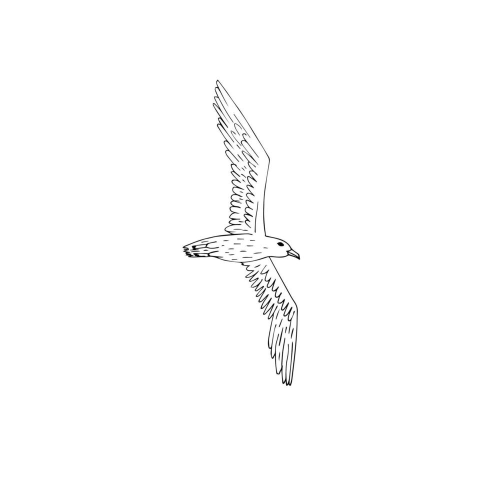 Hand drawn doodle sketch flying seagull vector