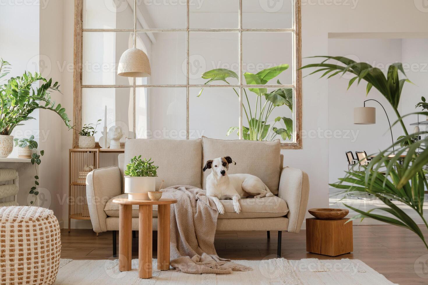 Elegant living room interior design with beige modern sofa, side table and creative accessories. Beautiful dog lying on the couch. Template. Copy space. photo