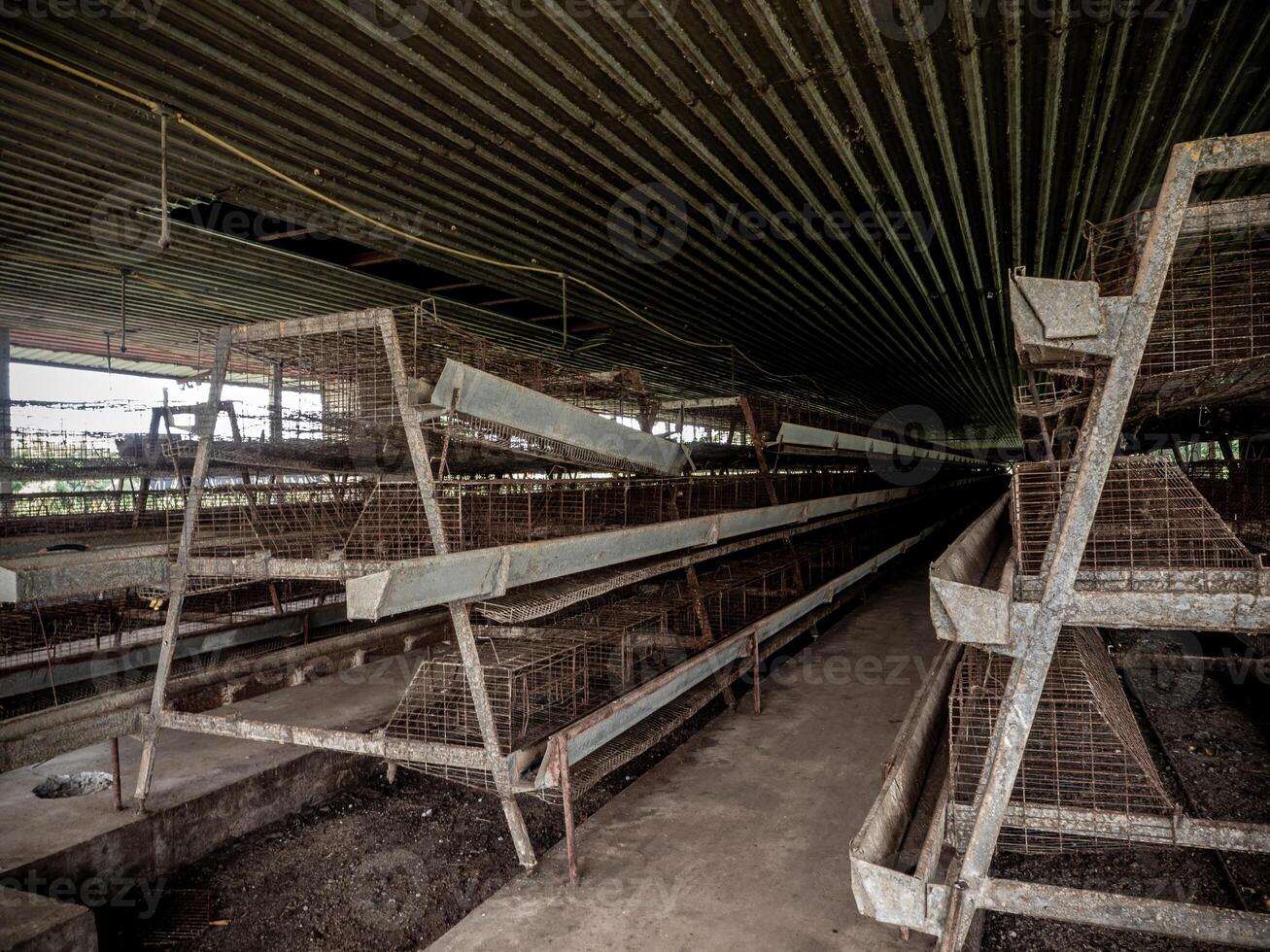 The empty laying cages of poultry houses, old, decayed, abandoned photo