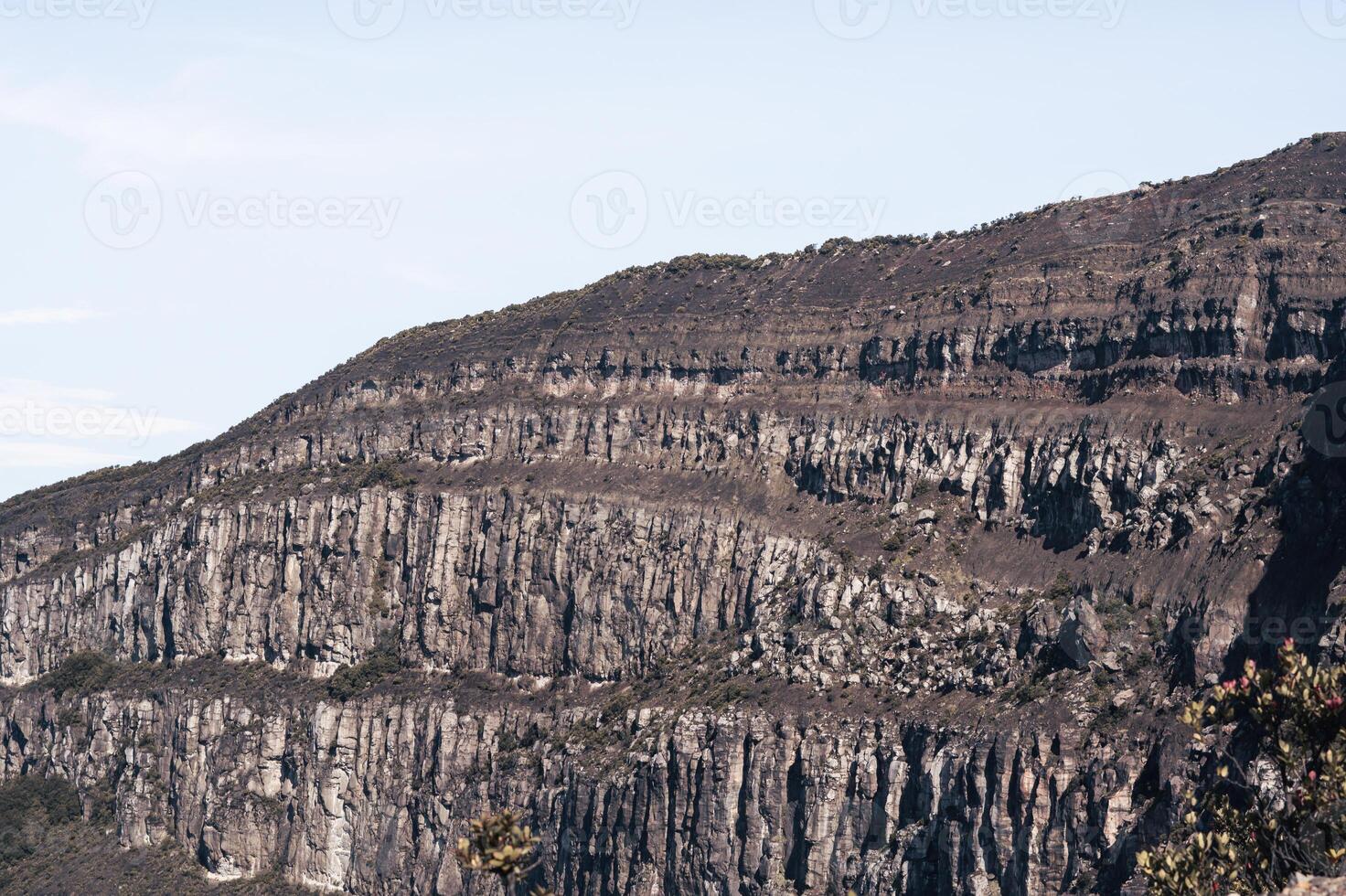 Photo of a trip to Mount Gede Pangrango, camping together at the Surya Kencana square. National Park in West Java, Cianjur, 06 September 2022