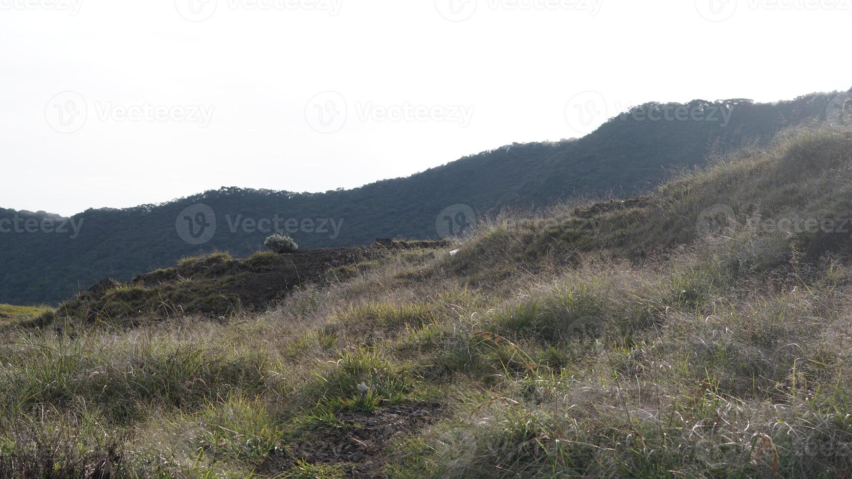 Photo of a trip to Mount, adventure together at the Surya square. National Park in West Java, 16 October 2022