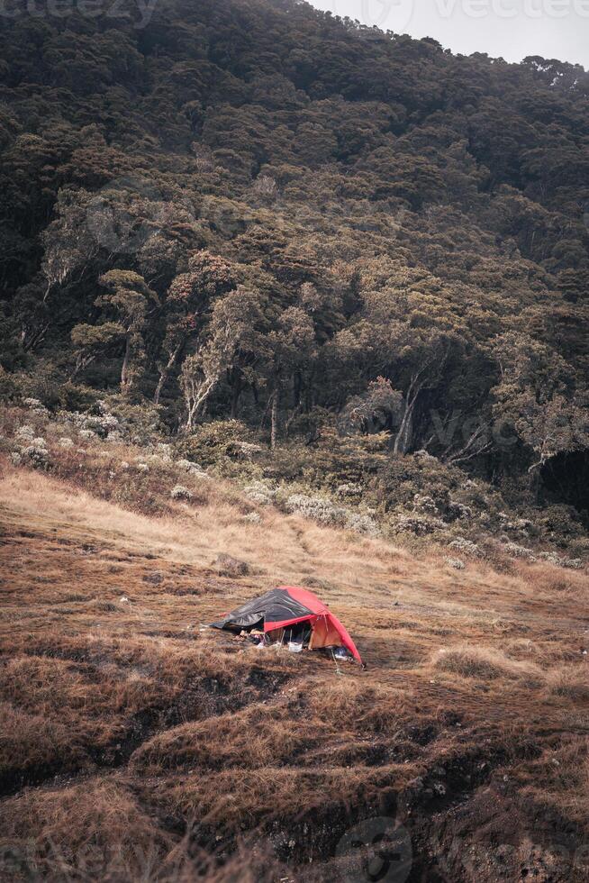 Photo of a trip to Mount Gede Pangrango, camping together at the Surya Kencana square. National Park in West Java, Cianjur, 06 September 2022