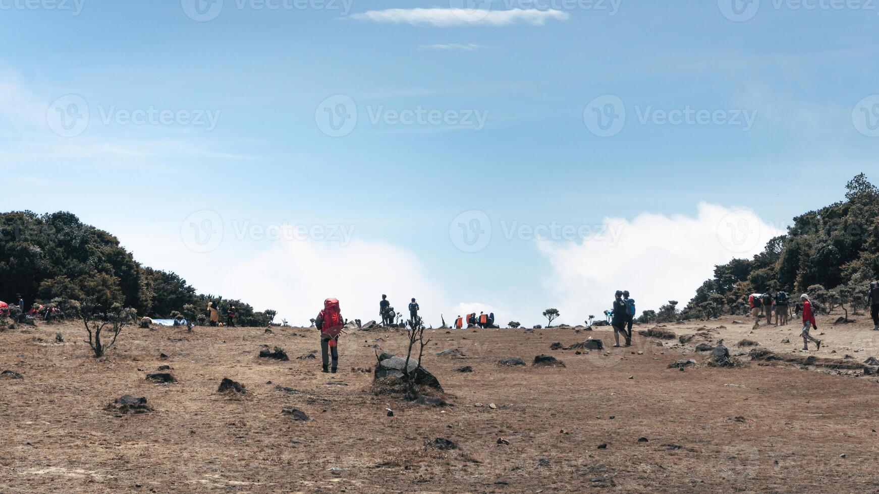 trip to the top of Mount Gede Pangrango, for camping together, National Park in West Java, Cianjur, July 21, 2019 photo