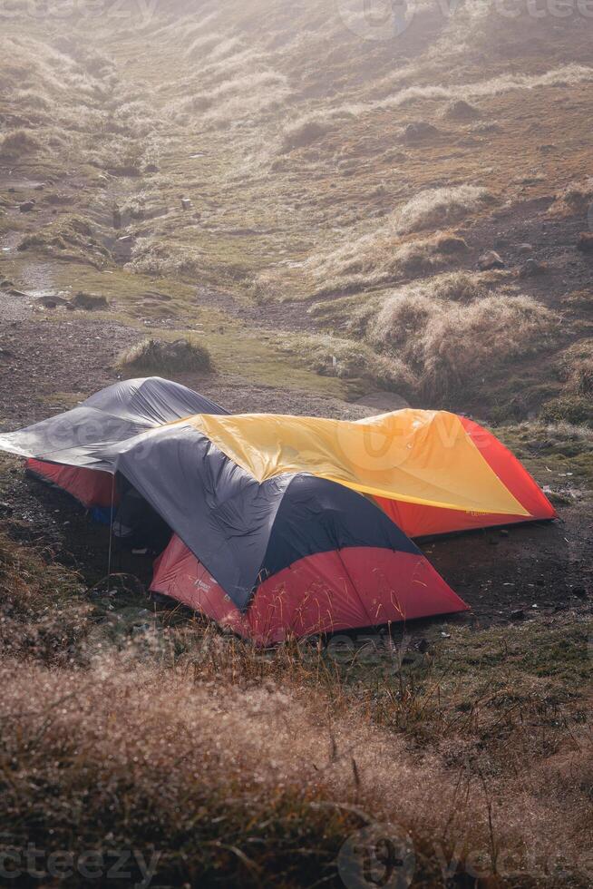 Photo of a trip to Mount Gede Pangrango, camping together at the Surya Kencana square. National Park in West Java, Cianjur, 06 September 2022