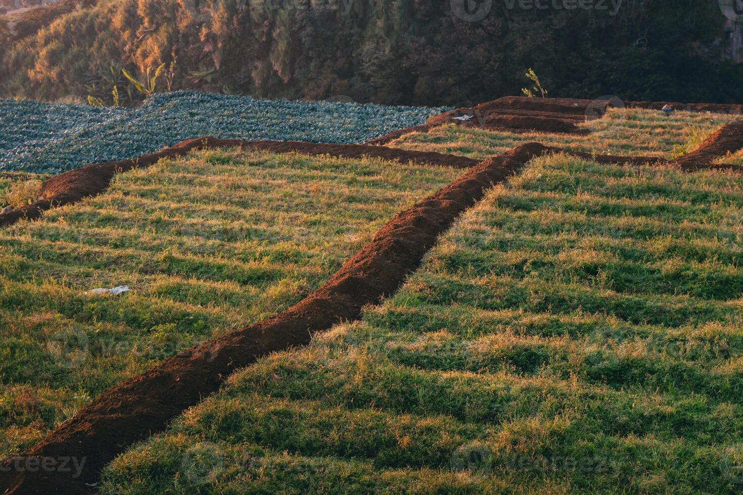 morning view of rice fields and villages on the hills photo