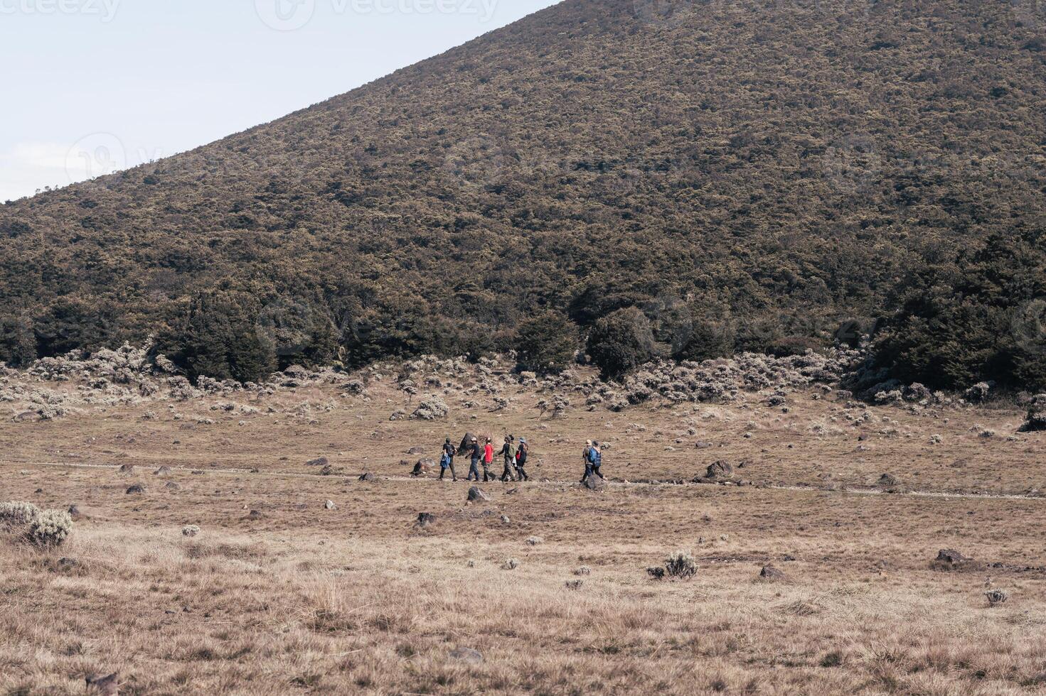 Photo of a trip to Mount Gede Pangrango, camping together at the Surya Kencana square. National Park in West Java, Cianjur, 06 September 2022