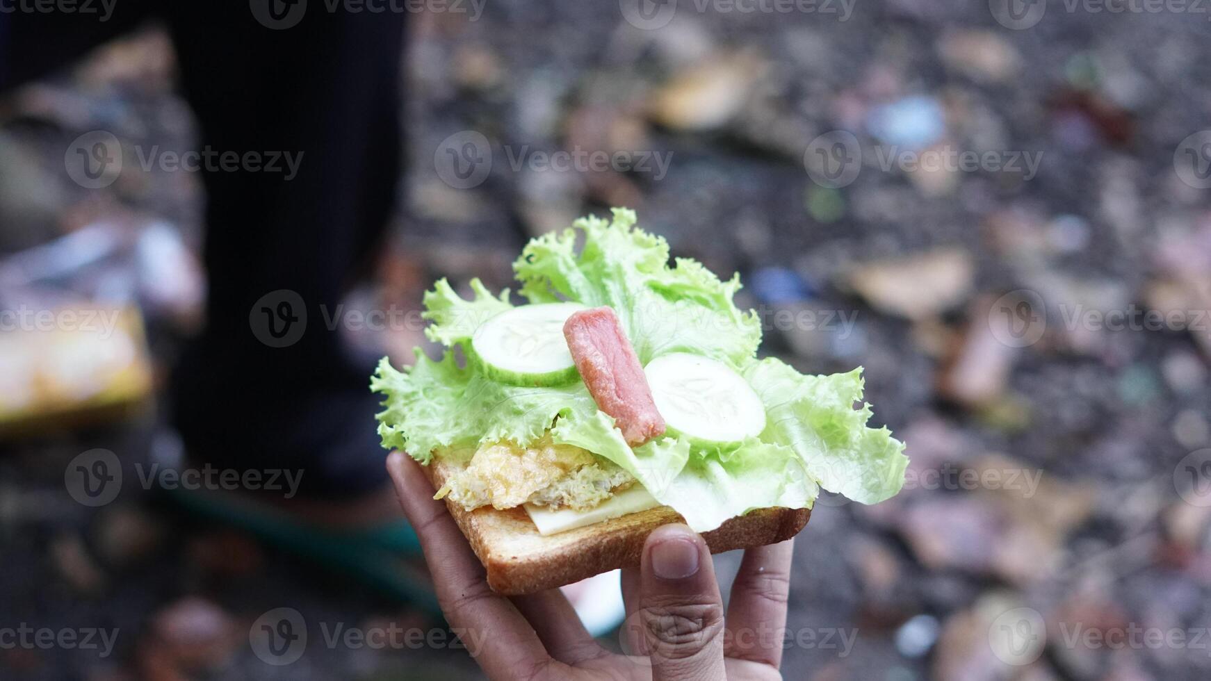 Photo of a trip to Mount Gede Pangrango, hiking adventure along the trails and camping together at the Surya Kencana square. National Park in West Java, Cianjur, 16 October 2022