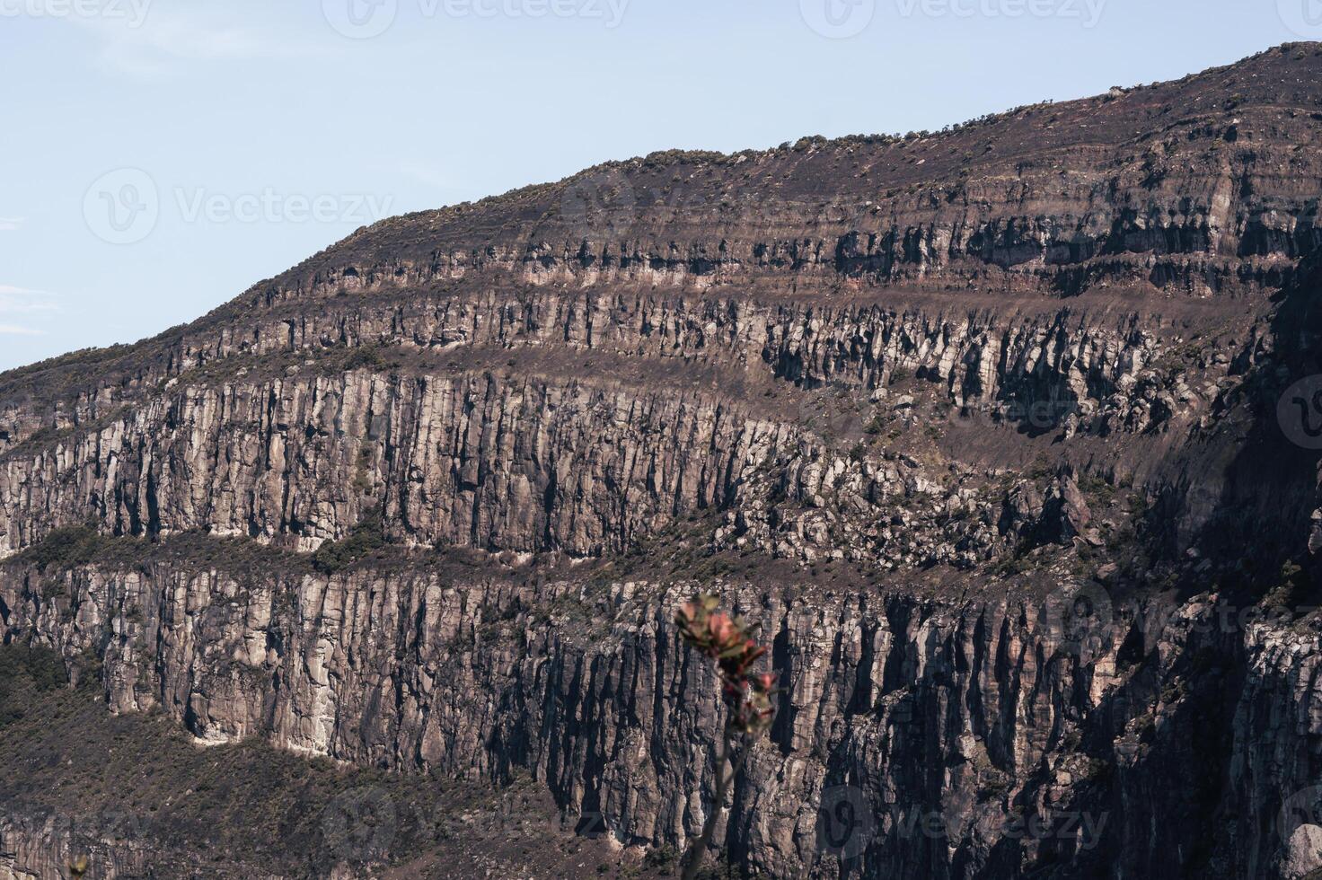 Photo of a trip to Mount Gede Pangrango, camping together at the Surya Kencana square. National Park in West Java, Cianjur, 06 September 2022
