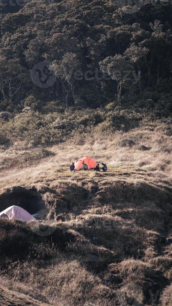 Photo of a trip to Mount Gede Pangrango, camping together at the Surya Kencana square. National Park in West Java, Cianjur, 06 September 2022