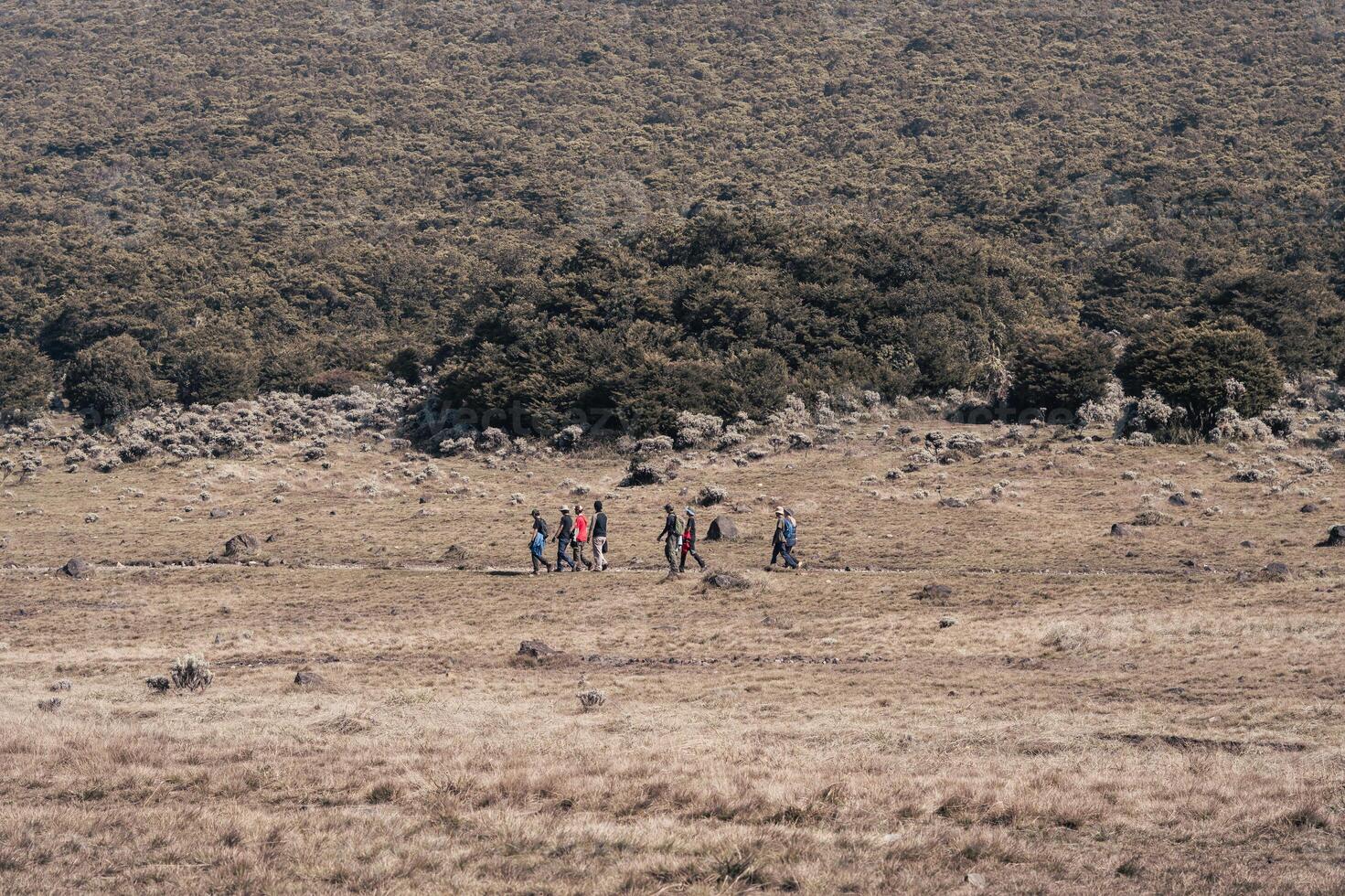 Photo of a trip to Mount Gede Pangrango, camping together at the Surya Kencana square. National Park in West Java, Cianjur, 06 September 2022