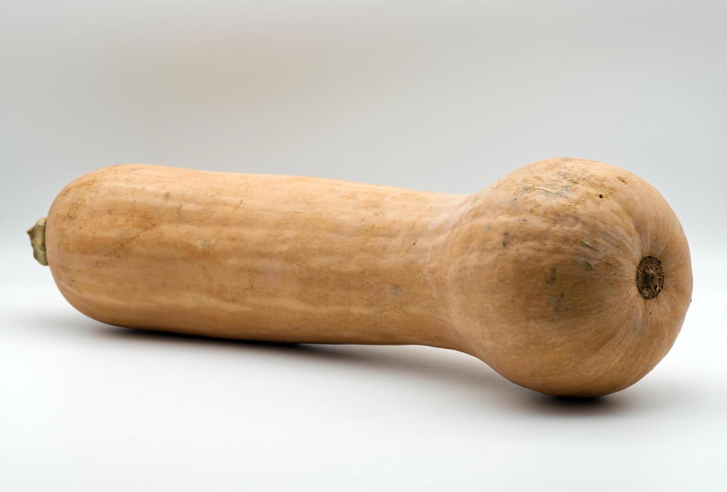 Fresh butternut squash is presented against a plain white background. photo