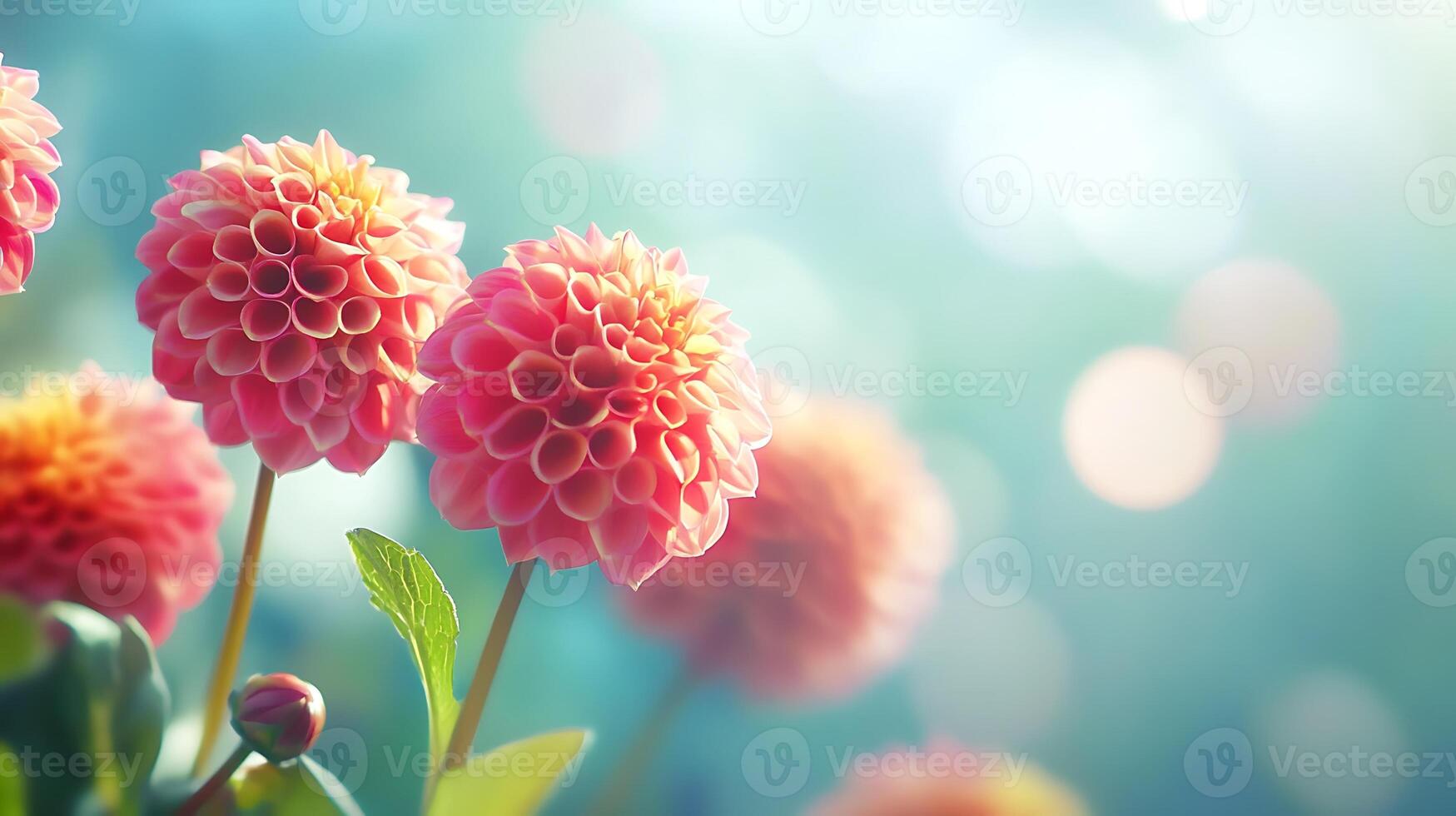 Stunning Bloom with Dreamy Background Bokeh photo