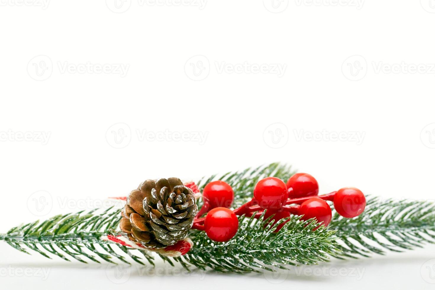 New Year. Branch of Christmas trees with cones,berries on white photo