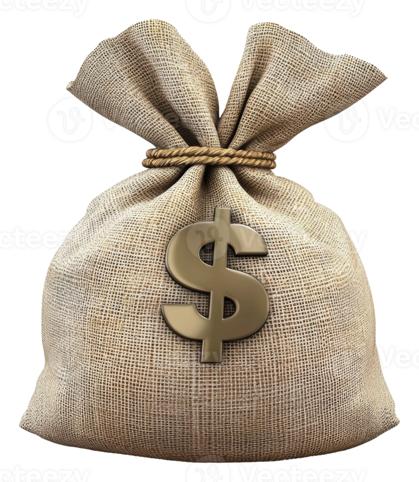 Money bag with dollar sign symbolizing wealth png