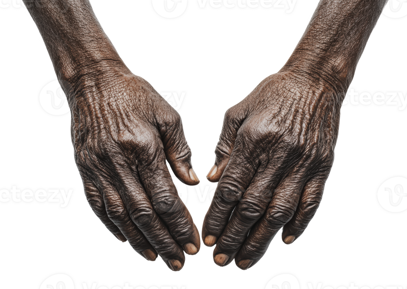 Hands conveying wisdom and experience png