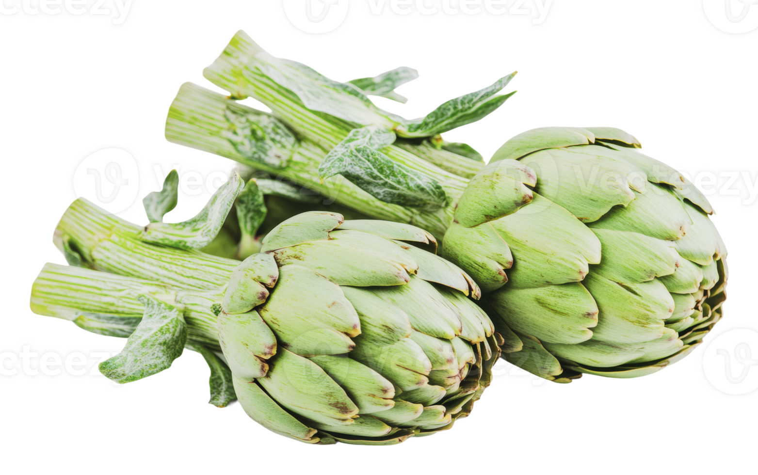 Fresh artichokes ready for cooking in kitchen png