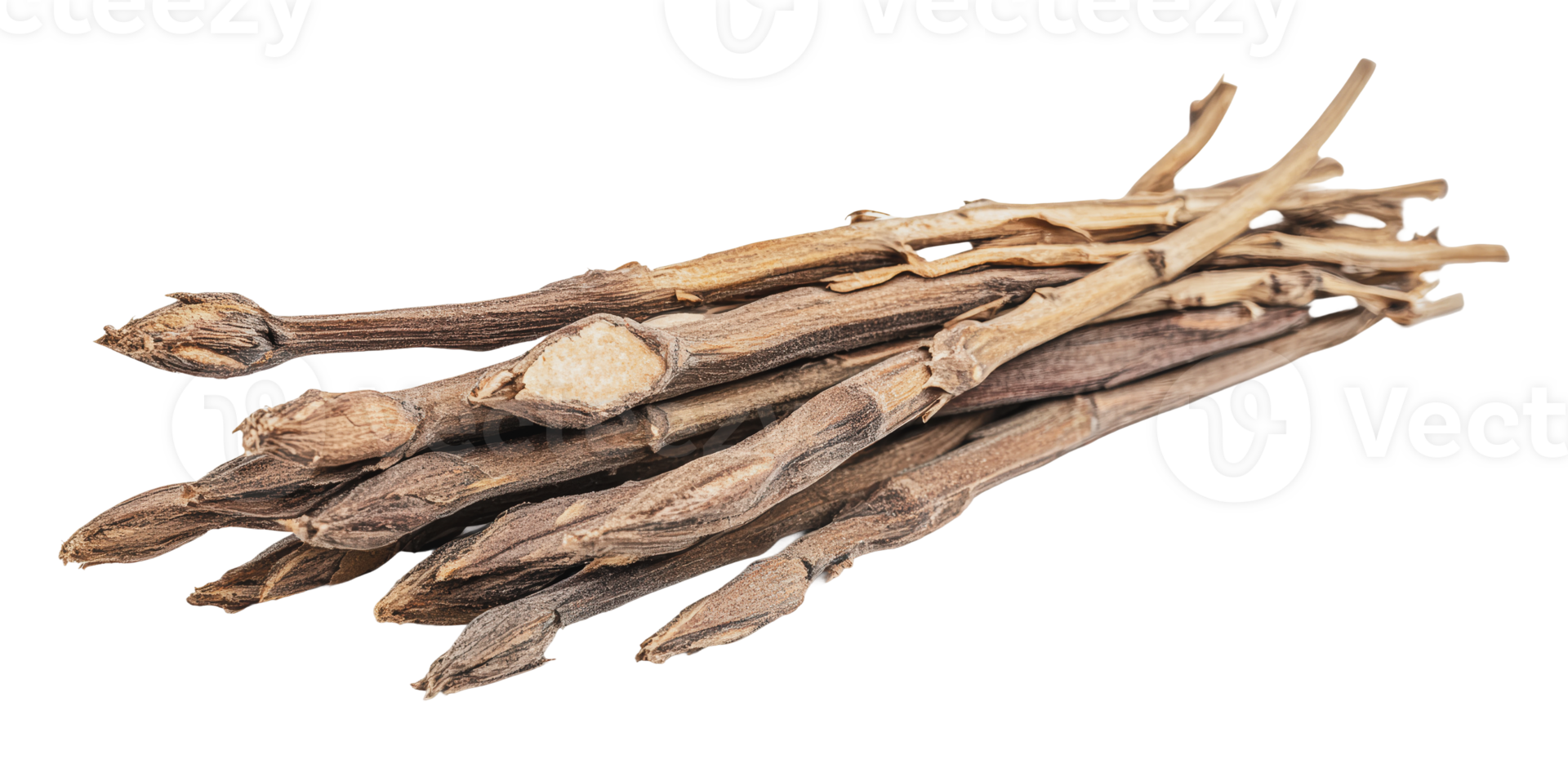 Moringa sticks displayed on a white background png